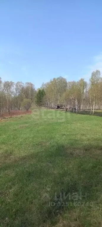 Участок в Алтайский край, Первомайский район, с. Таловка  (54.77 сот.) - Фото 2