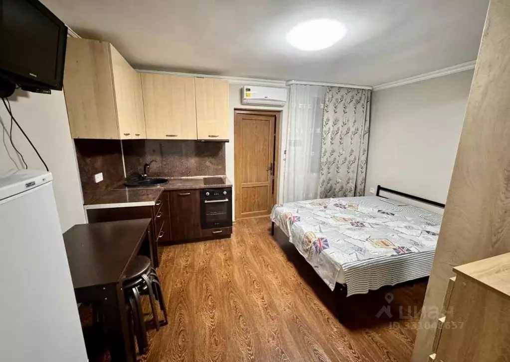 Студия Краснодарский край, Сочи городской округ, с. Черешня ул. ... - Фото 2
