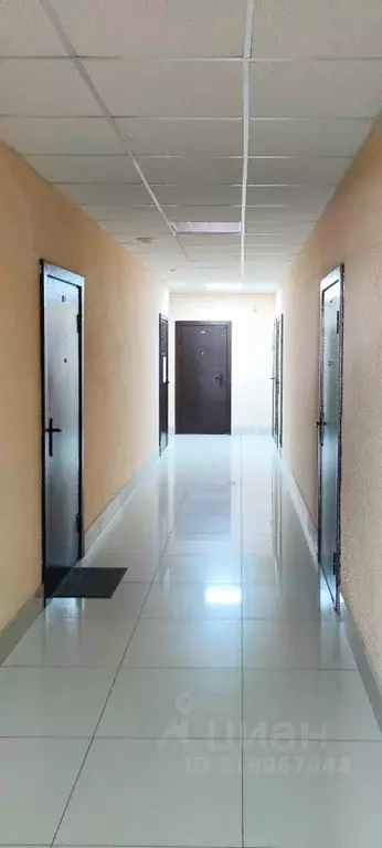Офис в Новосибирская область, Новосибирск ул. Некрасова, 42 (647 м) - Фото 0