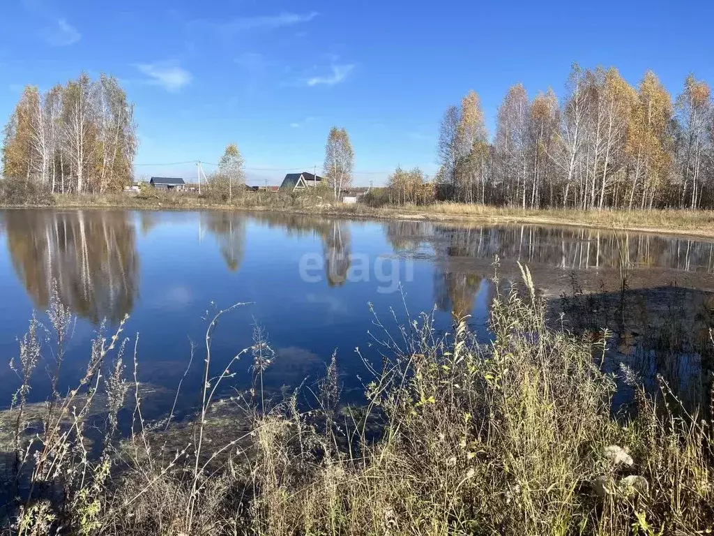 Участок в Челябинская область, Сосновский район, с. Кременкуль, ... - Фото 0