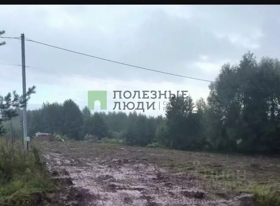 Участок в Татарстан, Зеленодольский район, Айшинское с/пос, д. ... - Фото 1