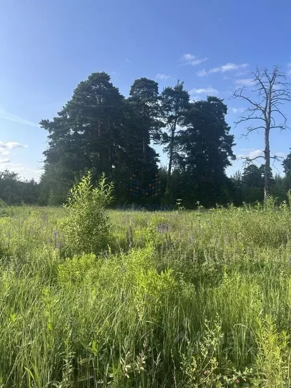 Участок в Московская область, Ленинский городской округ, д. Суханово  ... - Фото 2