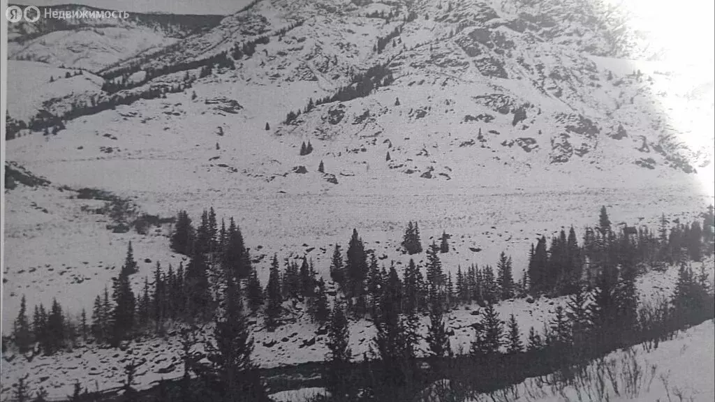 Участок в Онгудайский район, Купчегенское сельское поселение (17 м) - Фото 1