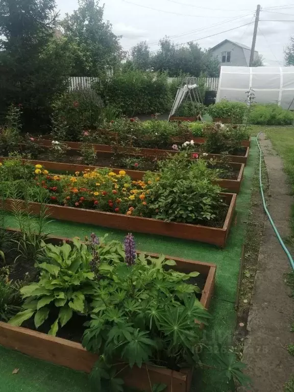 Дом в Омская область, Омск СОСН Шинник-2 тер.,  (20 м) - Фото 1