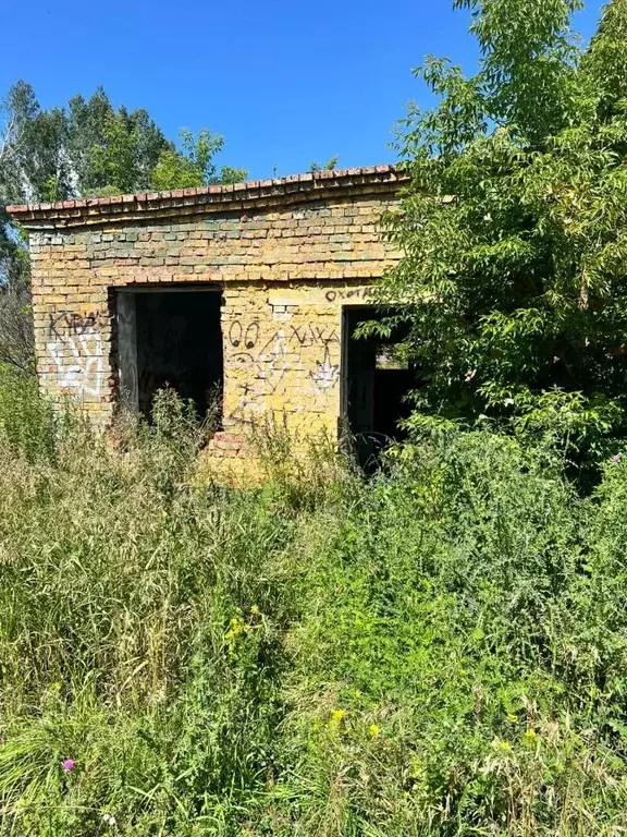 Помещение свободного назначения в Башкортостан, Мелеузовский район, с. ... - Фото 1