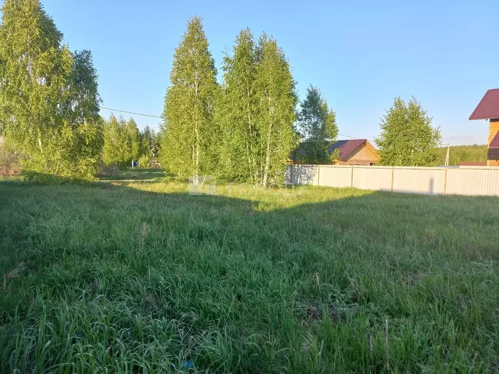 Участок в Новосибирская область, Новосибирский район, Верх-Тулинский ... - Фото 1