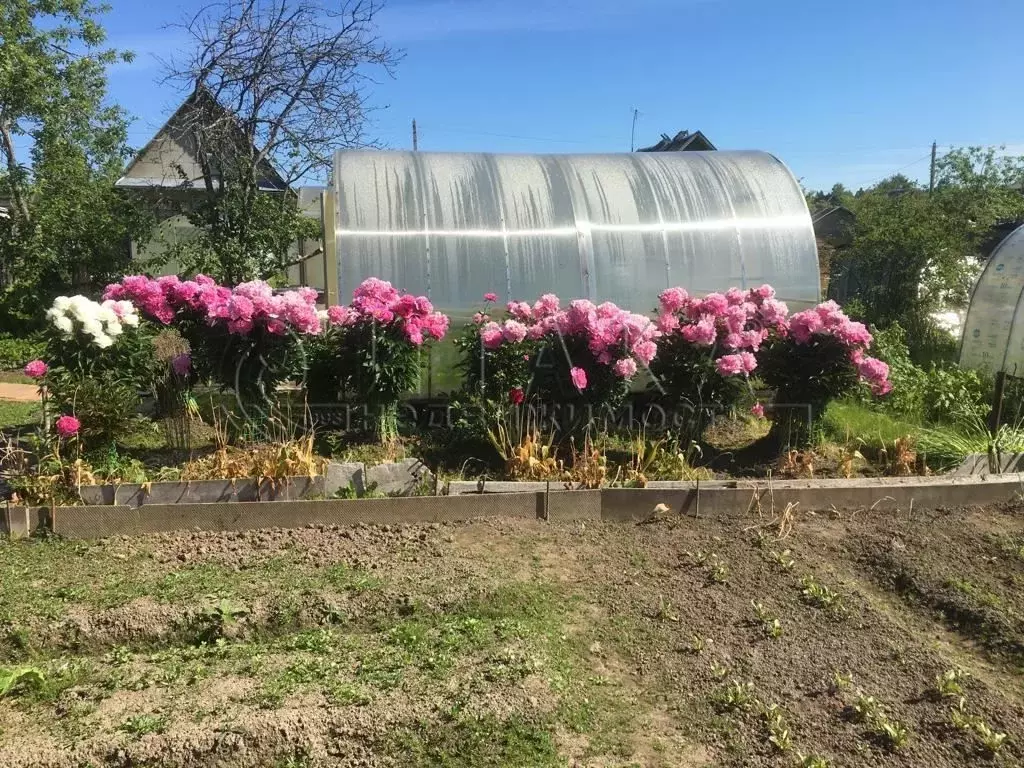 Дом в Ленинградская область, Лодейнопольский район, Алеховщинское ... - Фото 1