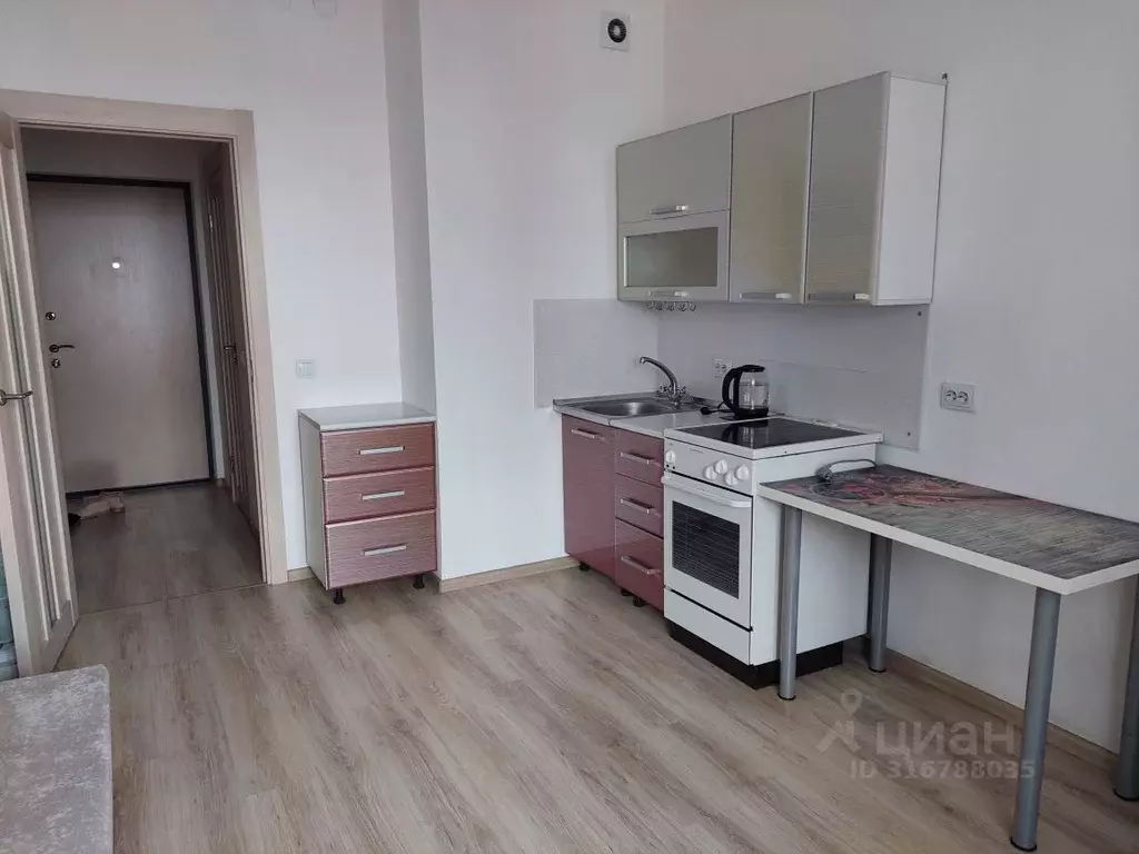 Студия Санкт-Петербург ул. Плесецкая, 10 (25.0 м) - Фото 1