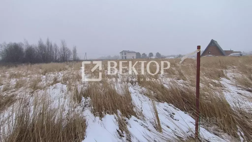 Участок в Костромская область, Кострома ул. Владимира Люсина (9.9 ... - Фото 1