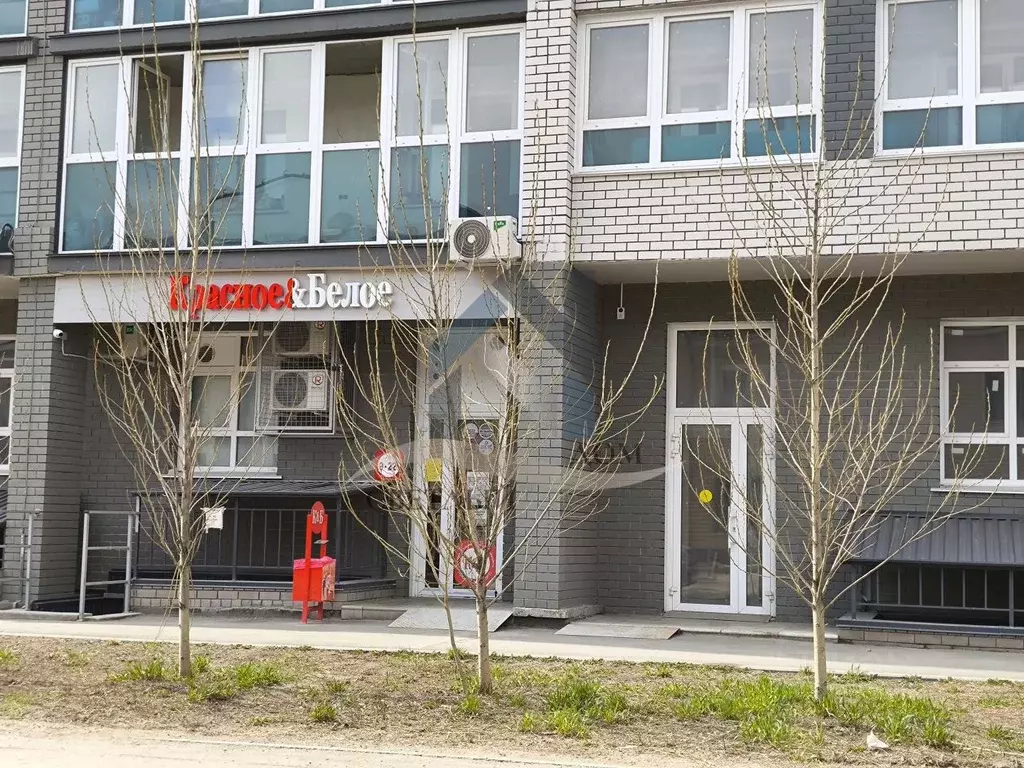 Помещение свободного назначения в Алтайский край, Барнаул ул. Петра ... - Фото 2