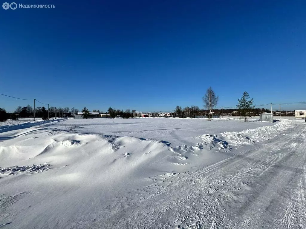 Участок в деревня Малые Петрищи, Хрустальная улица (6 м) - Фото 2
