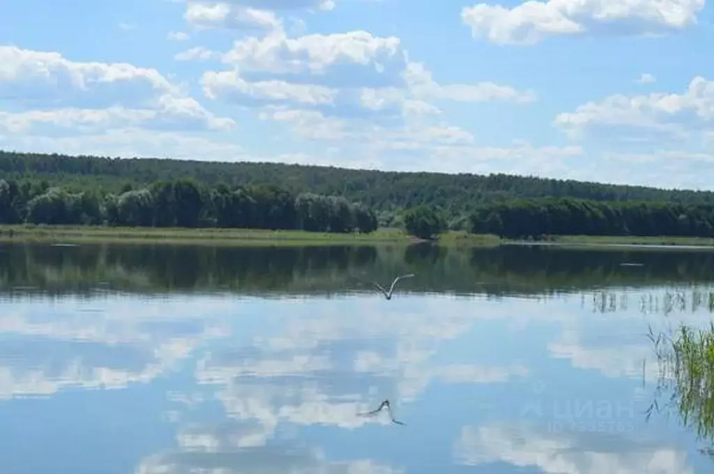 Участок в Нижегородская область, Богородский район, д. Инютино ул. ... - Фото 0