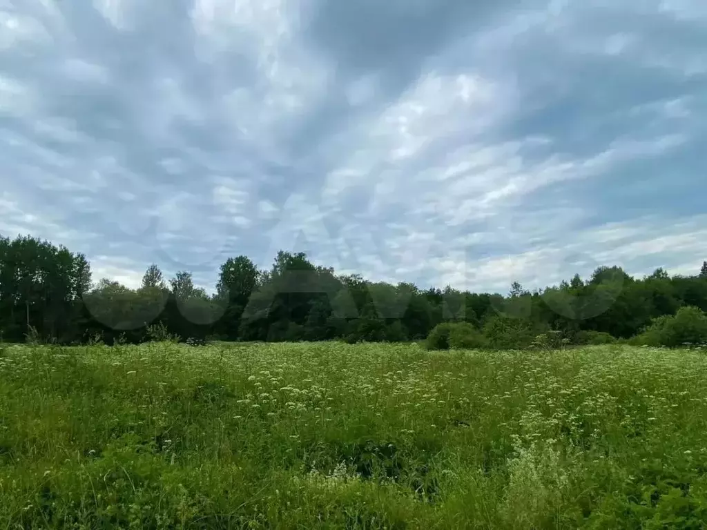 Участок в Псковская область, Палкинский район, Новоуситовская волость, ... - Фото 1