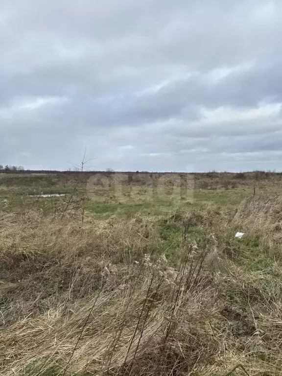 Участок в Калининградская область, Гвардейский муниципальный округ, ... - Фото 2