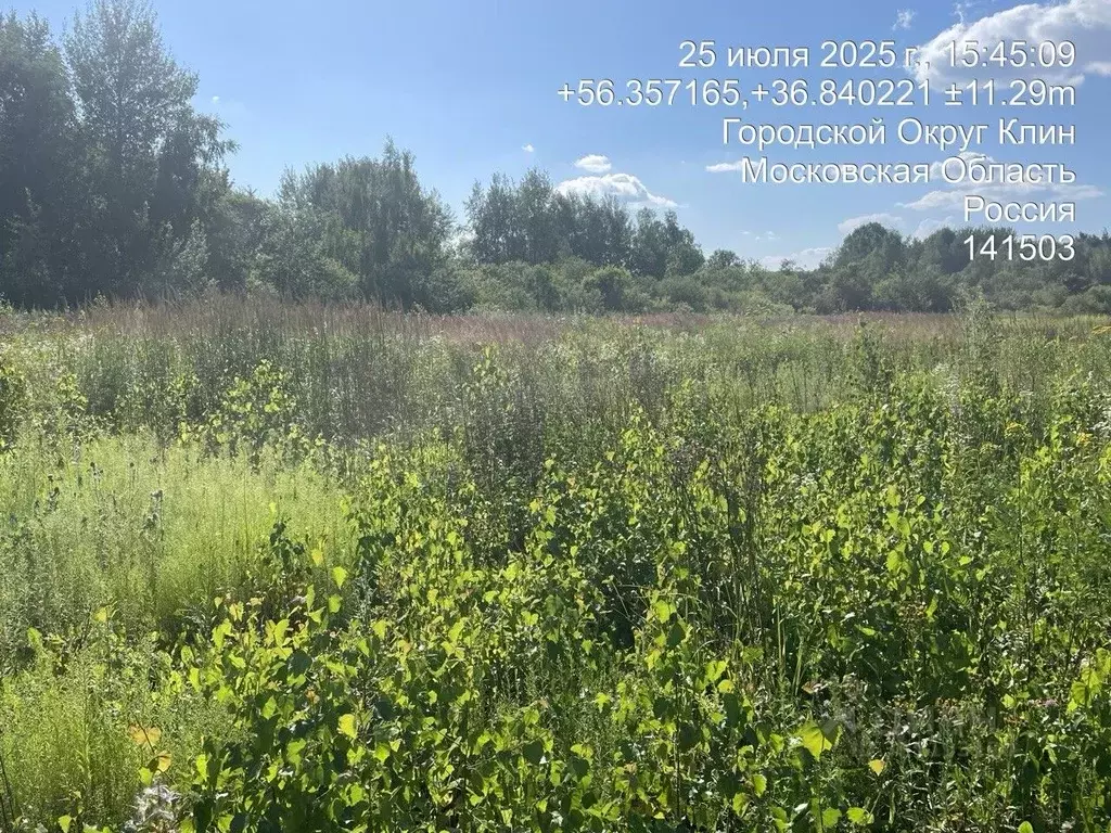 Участок в Московская область, Клин городской округ, д. Напругово  ... - Фото 1