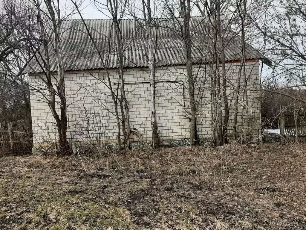 Дом в Белгородская область, Волоконовский район, Ютановское с/пос, ... - Фото 1