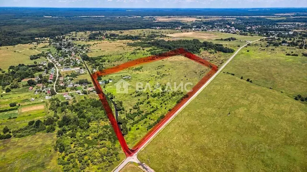 Участок в Калининградская область, Краснознаменский муниципальный ... - Фото 1