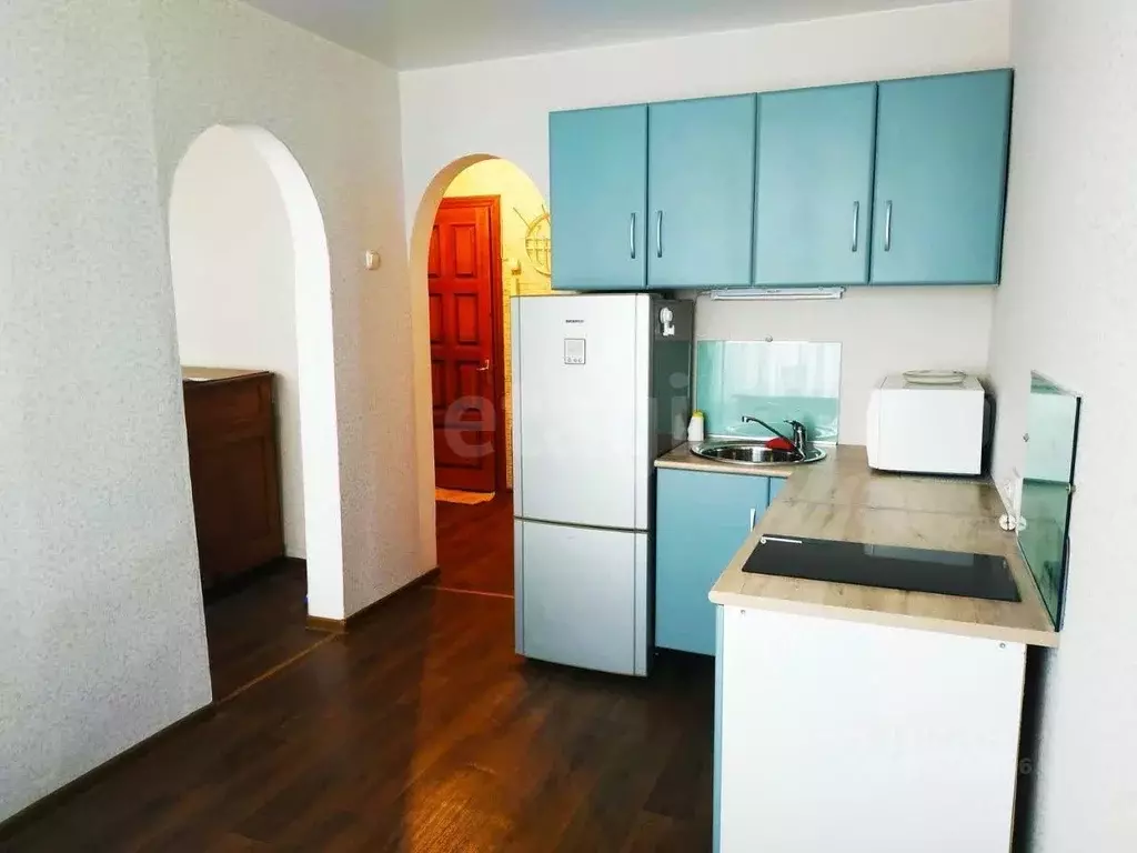 2-к кв. Алтайский край, Барнаул Молодежная ул., 2А (25.0 м) - Фото 2