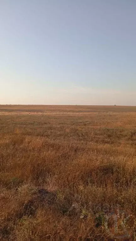 Участок в Крым, Сакский район, с. Уютное  (40.0 сот.) - Фото 2