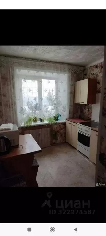 1-к кв. Новосибирская область, Новосибирск ул. Грибоедова, 33 (30.0 м) - Фото 1