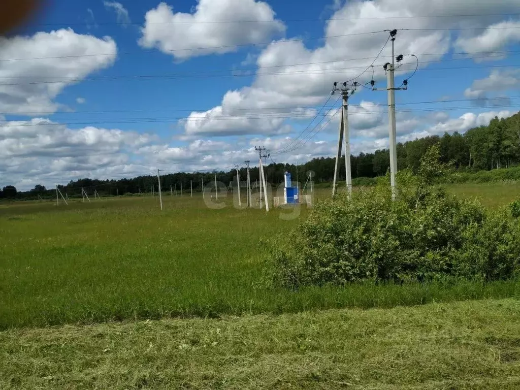 Участок в Тюменская область, Тюменский район, с. Червишево  (10.0 ... - Фото 1