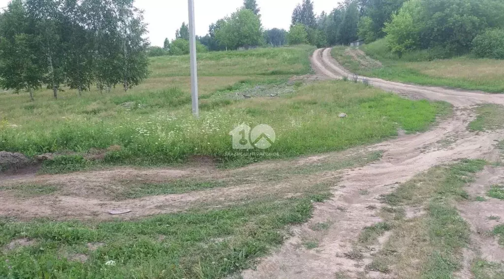 Участок в Новосибирская область, Новосибирский район, с. Раздольное ... - Фото 1