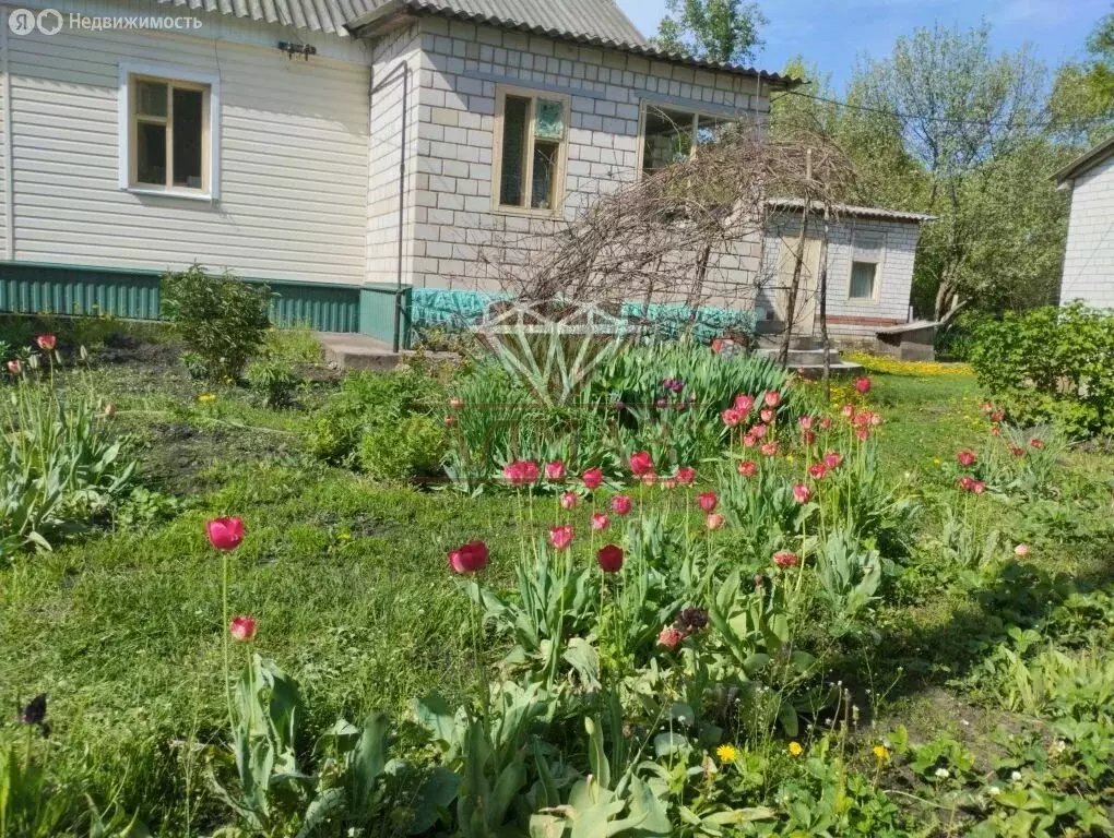 Дом в Липецкая область, Долгоруковский муниципальный округ, деревня ... - Фото 1