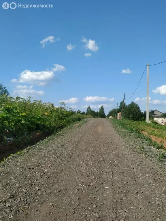 Участок в Кстининское сельское поселение, деревня Звени (33.5 м) - Фото 1