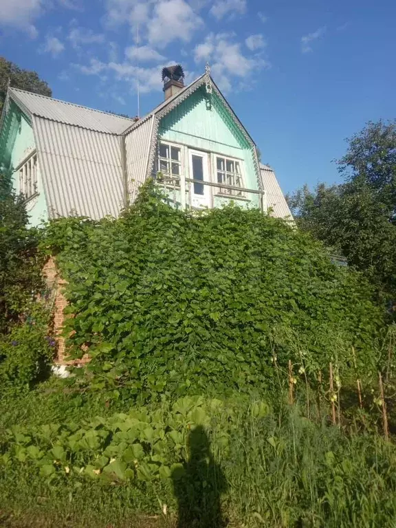 Дача 49 м на участке 12,5 сот. - Фото 0