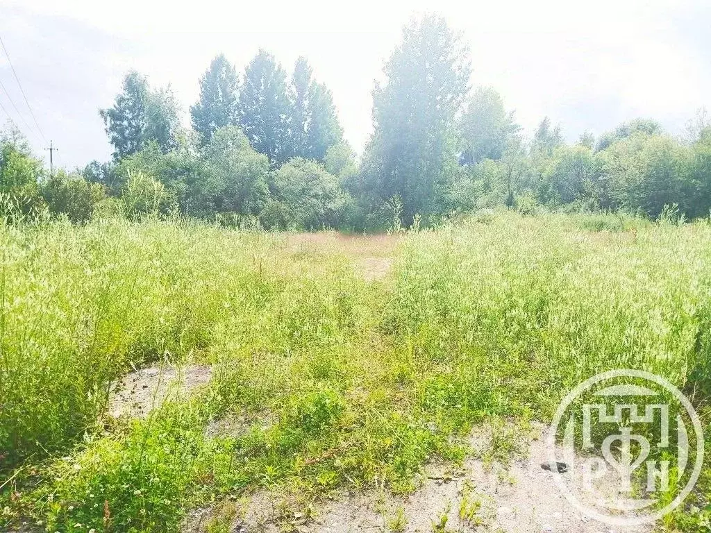 Участок в Ленинградская область, Приозерск Садовая ул. (12.0 сот.) - Фото 1