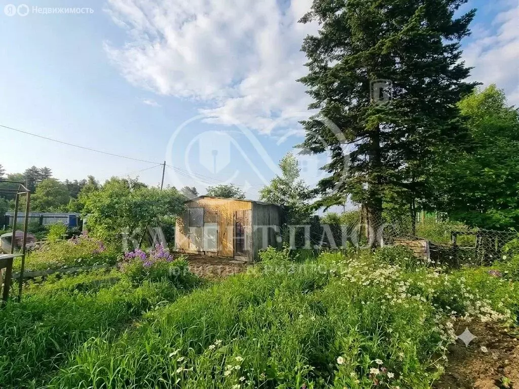 Дом в Сахалинская область, Корсаковский муниципальный округ, село ... - Фото 2