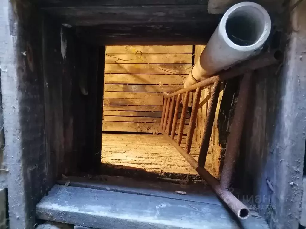 Помещение свободного назначения в Пермский край, Пермь Телефонная ул., ... - Фото 2