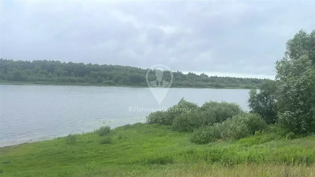 Участок в Рязанская область, Шиловский район, Задубровское с/пос, с. ... - Фото 2