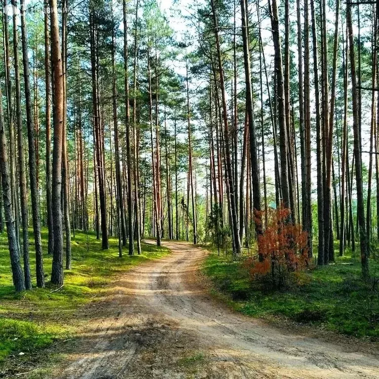Дом в Псков, площадь Ленина (101 м) - Фото 1