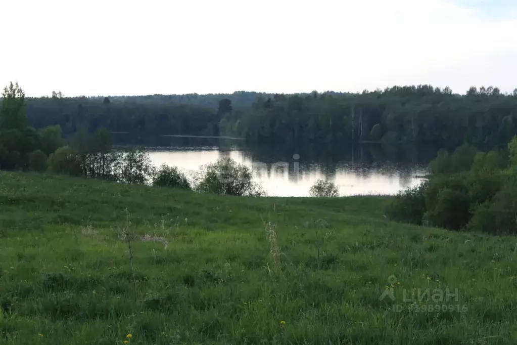 Участок в Вологодская область, Белозерский муниципальный округ, ... - Фото 0