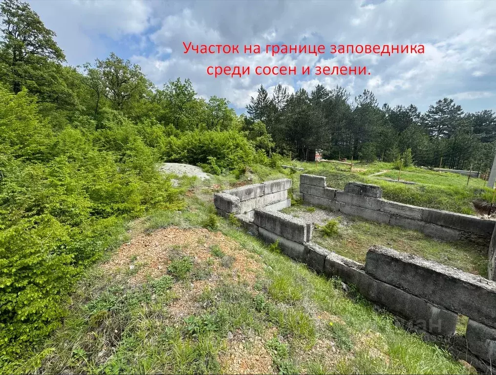 Участок в Крым, Ялта ул. Дарсановская, 80 (4.5 сот.) - Фото 0
