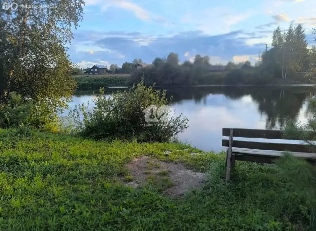 Участок в Колыванский район, Береговая улица, 26 (7.2 м) - Фото 2