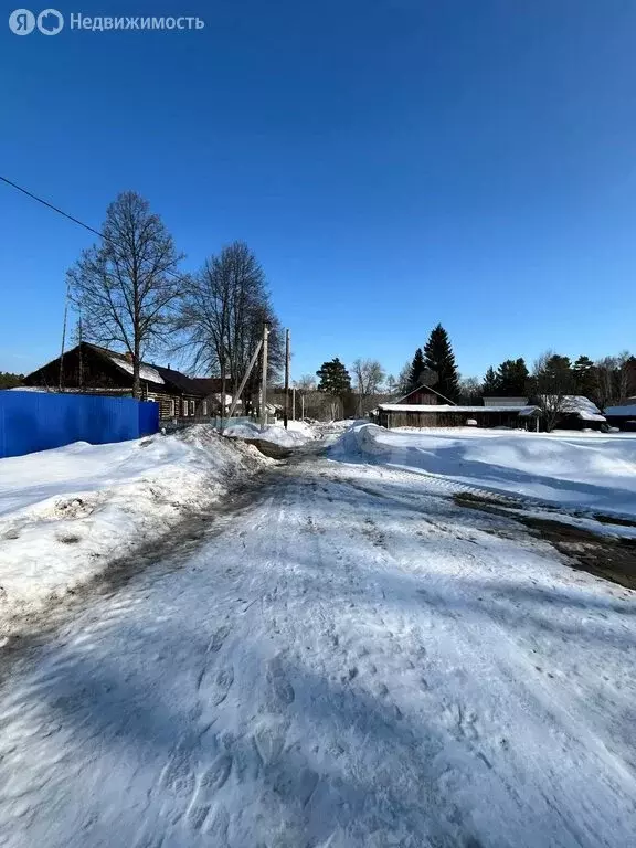 Участок в Курганская область, Кетовский муниципальный округ, посёлок ... - Фото 2