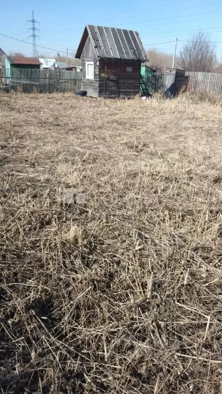 Участок в Новосибирская область, Новосибирск Солнышко садовое ... - Фото 2