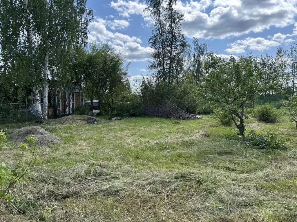 Участок в Санкт-Петербург, Санкт-Петербург, Петергоф дор. Сашинская ... - Фото 1