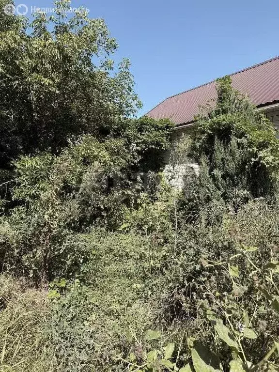 Участок в Белгород, Портовая улица (9.77 м) - Фото 2