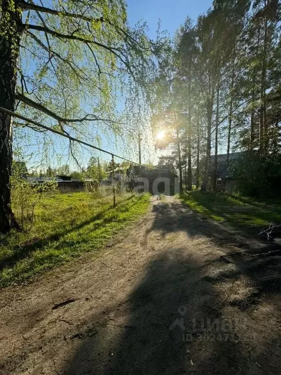 Участок в Новосибирская область, Новосибирский район, с. Кубовая, ... - Фото 1