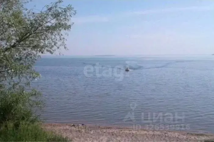 Участок в Новосибирская область, Новосибирский район, с. Боровое  ... - Фото 1