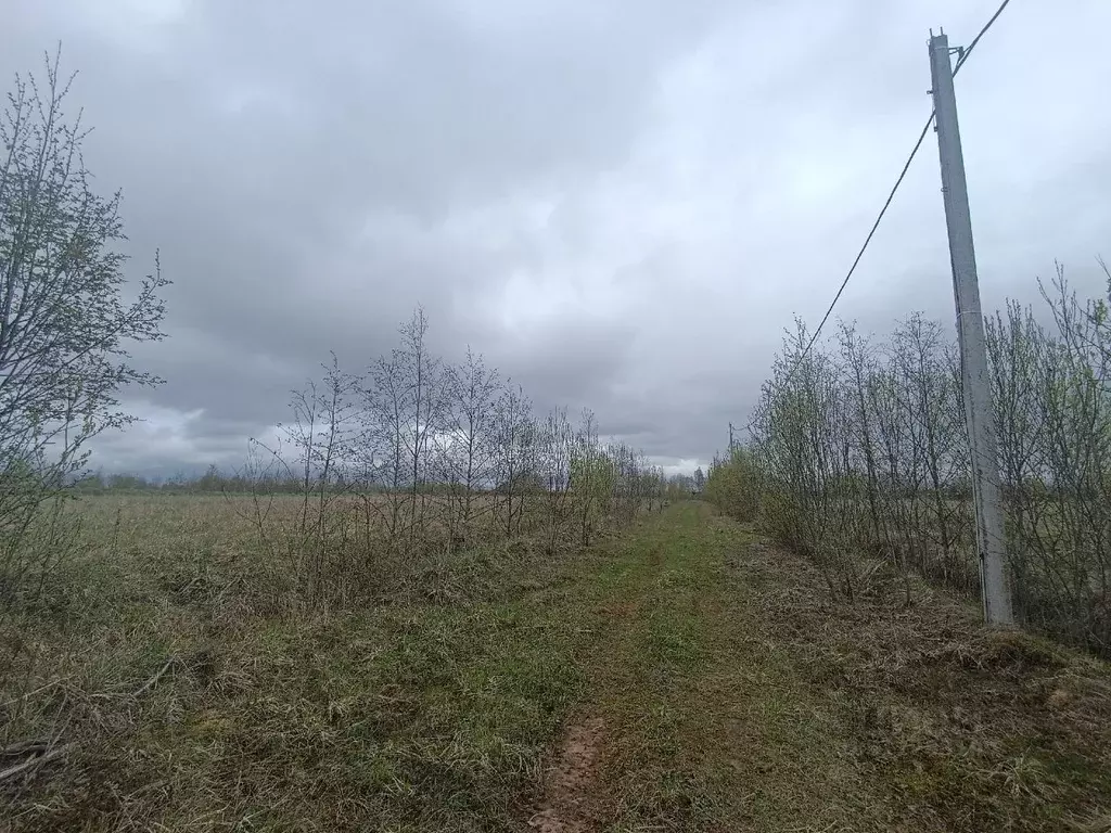 Участок в Новгородская область, Новгородский район, Савинское с/пос, ... - Фото 1