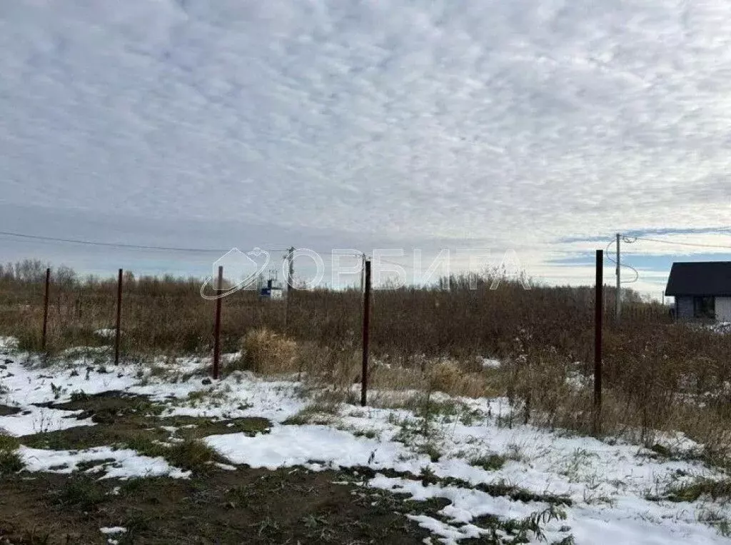 Участок в Тюменская область, Тюменский муниципальный округ, с. Луговое ... - Фото 1