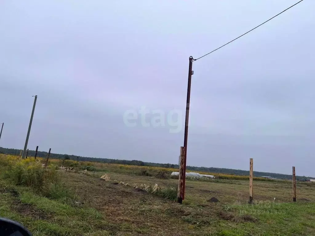 Участок в Брянская область, Карачевский район, Мылинское с/пос, д. ... - Фото 2