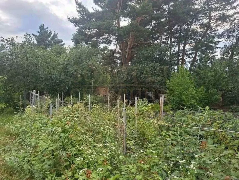 Участок в Белгородская область, Белгородский муниципальный округ, с. ... - Фото 2