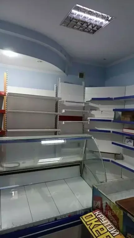 Помещение свободного назначения в Краснодарский край, Ейск Красная ... - Фото 1