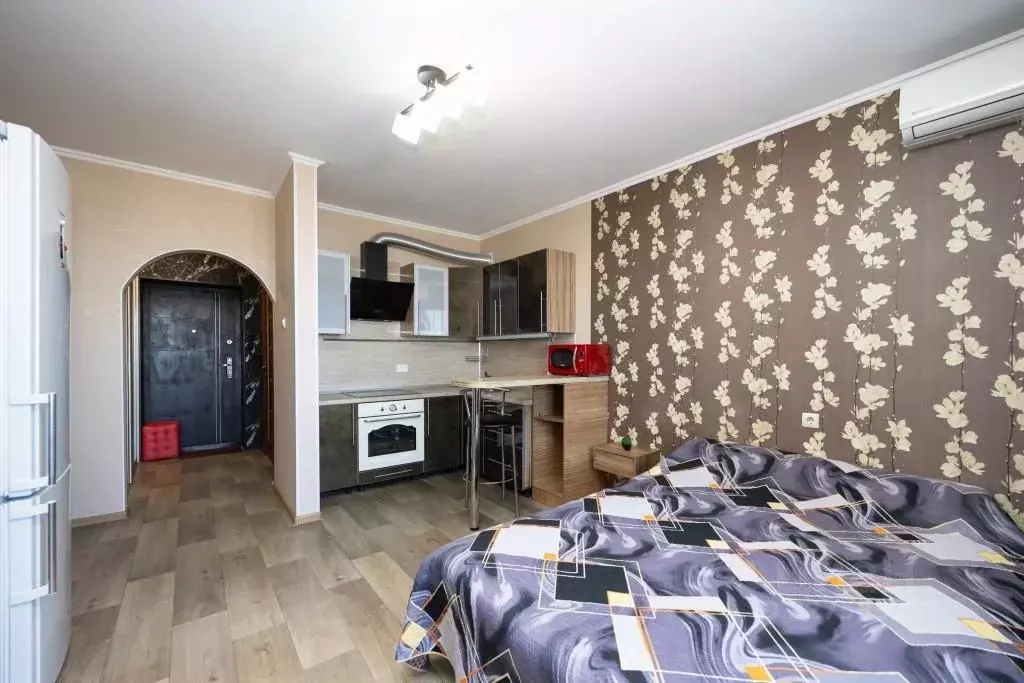 Студия Амурская область, Благовещенск городской округ, пос. ... - Фото 1