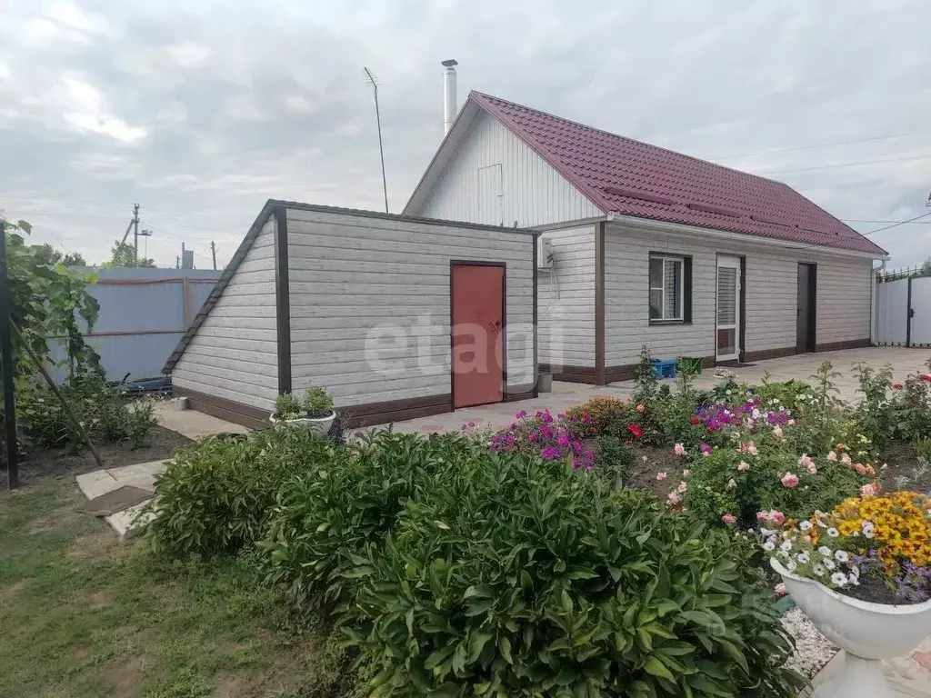 Дом в Воронежская область, Борисоглебский городской округ, с. ... - Фото 1